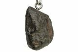 Stony Chondrite Meteorite ( g) Keychain - Morocco #238165-1